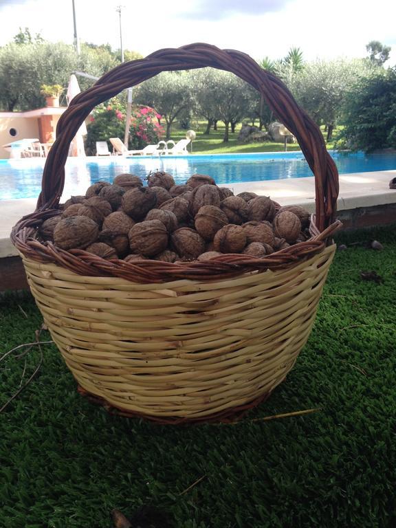 مبيت وإفطار كاباتشو - بايستوم Caputaquis المظهر الخارجي الصورة